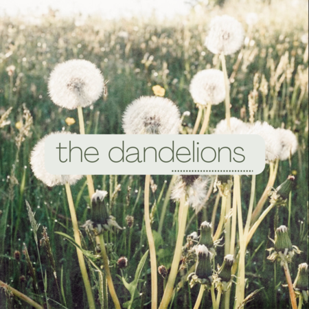 The Dandelions